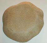 Click for a larger image